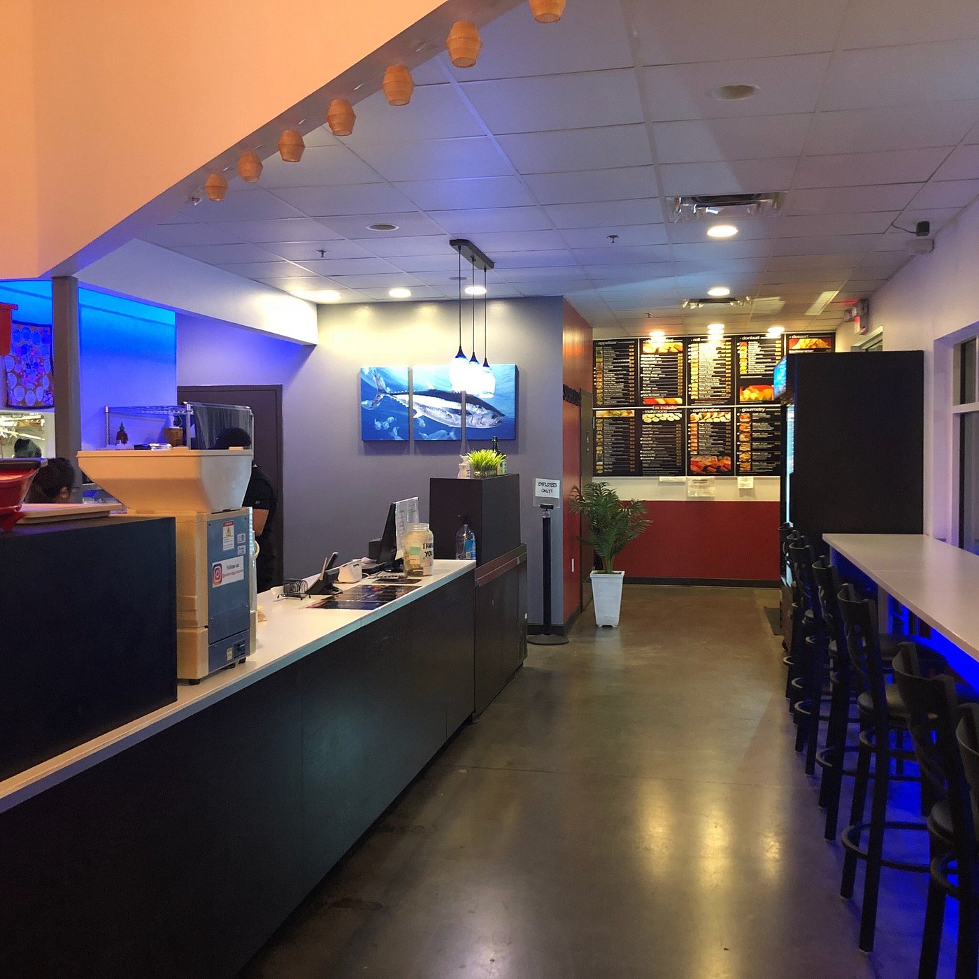 Sushiology International Drive Orlando Florida Interior